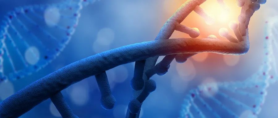 1647392835256820.jpeg 1647392835256820.jpeg